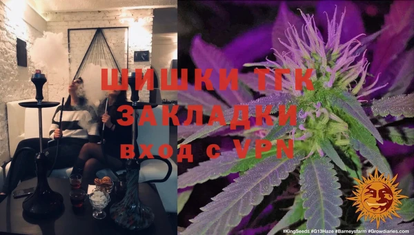 дмт Алзамай