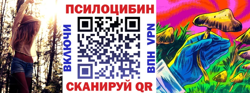 купить наркотик  Прохладный  Псилоцибиновые грибы Psilocybe 